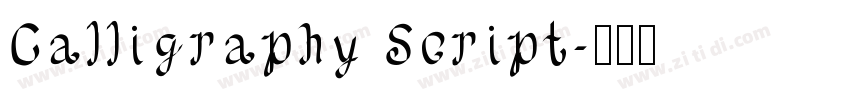Calligraphy Script字体转换 Calligraphy Script字体转换